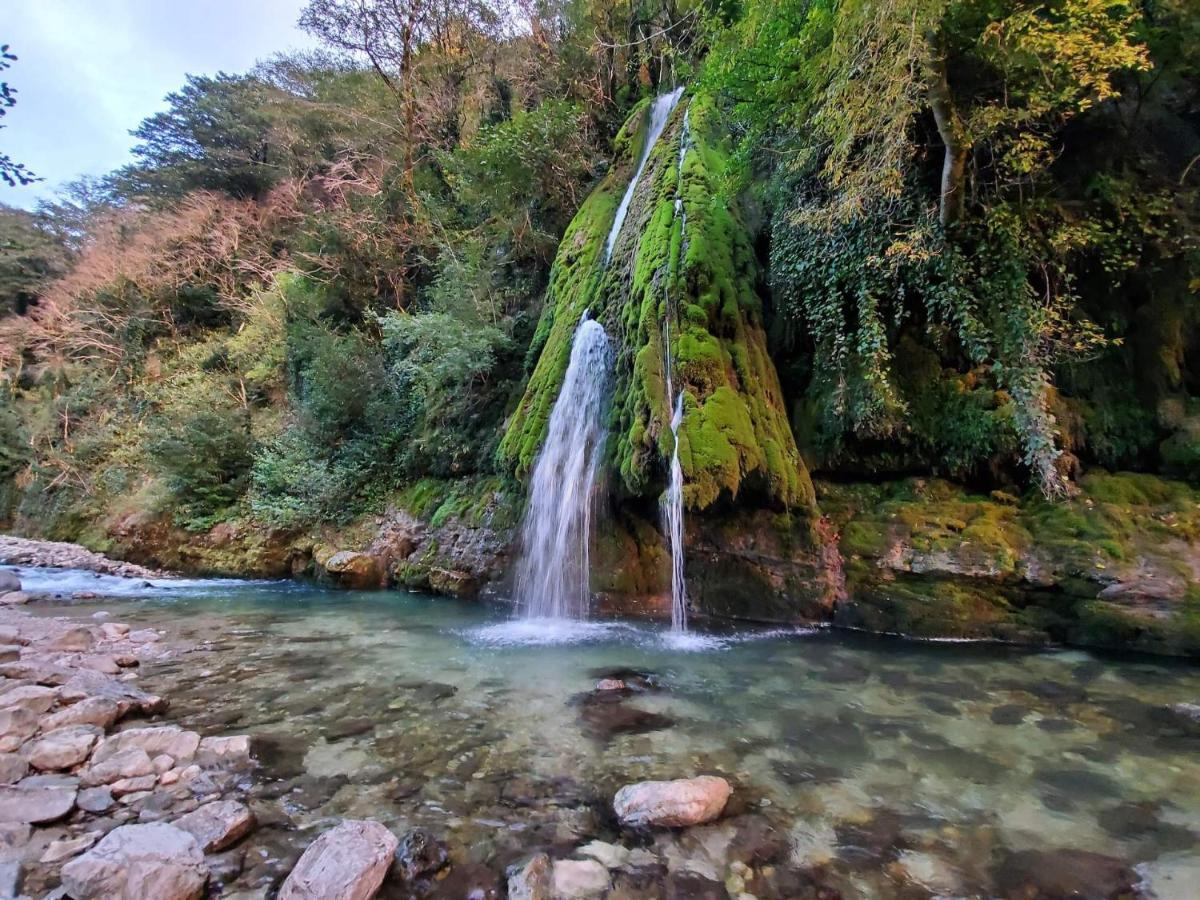 Friendly Guest House Kutaisi Dış mekan fotoğraf