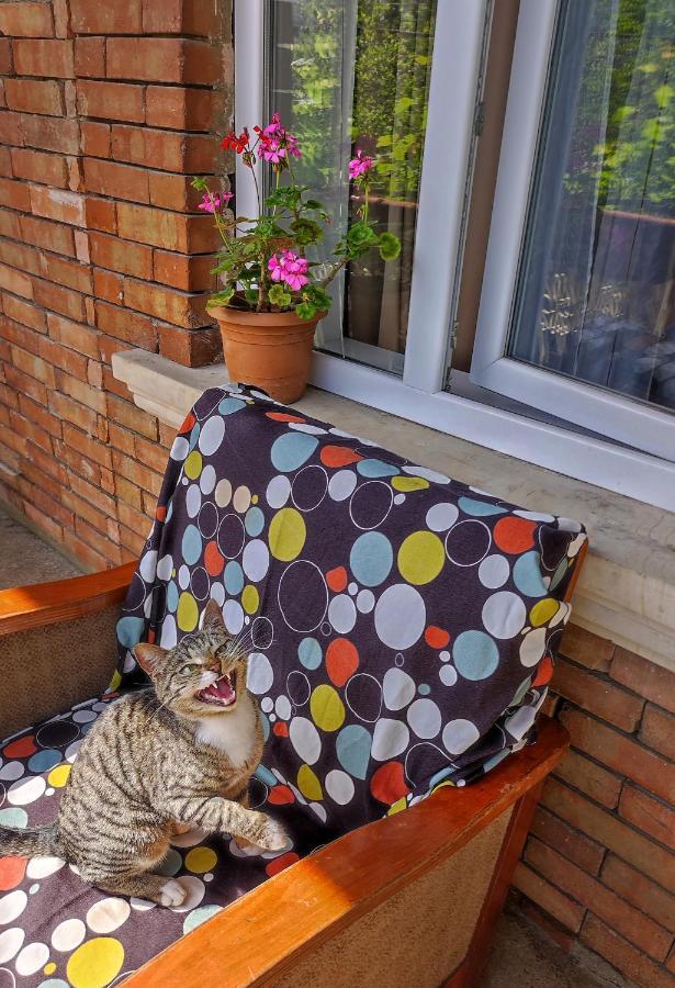 Friendly Guest House Kutaisi Dış mekan fotoğraf