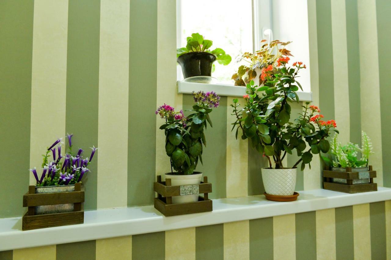 Friendly Guest House Kutaisi Dış mekan fotoğraf